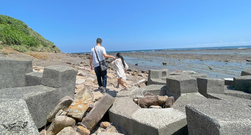 東北角海岸抓魚蟹景點|馬崗潮間帶：親子免費景點，天然翠綠地毯，充滿魅力的潮間帶生態！ @緹雅瑪 美食旅遊趣