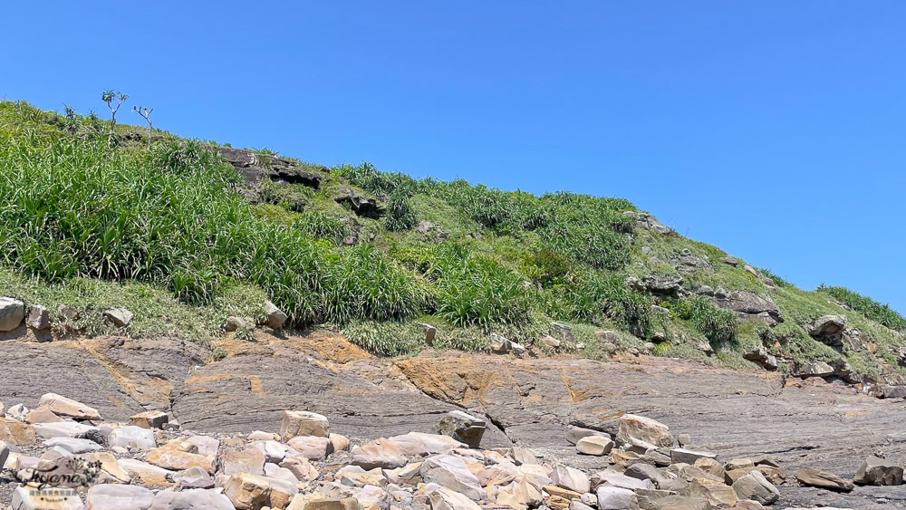 東北角海岸抓魚蟹景點|馬崗潮間帶：親子免費景點，天然翠綠地毯，充滿魅力的潮間帶生態！ @緹雅瑪 美食旅遊趣