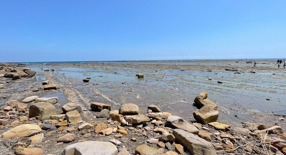 東北角海岸抓魚蟹景點|馬崗潮間帶：親子免費景點，天然翠綠地毯，充滿魅力的潮間帶生態！ @緹雅瑪 美食旅遊趣