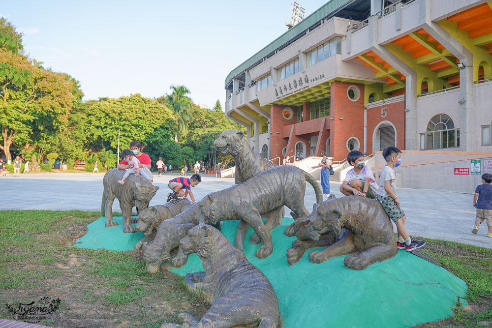 嘉義滑草場公園|KANO園區：星光溜滑梯、KANO滑草場，記得帶滑草板來玩！！ @緹雅瑪 美食旅遊趣