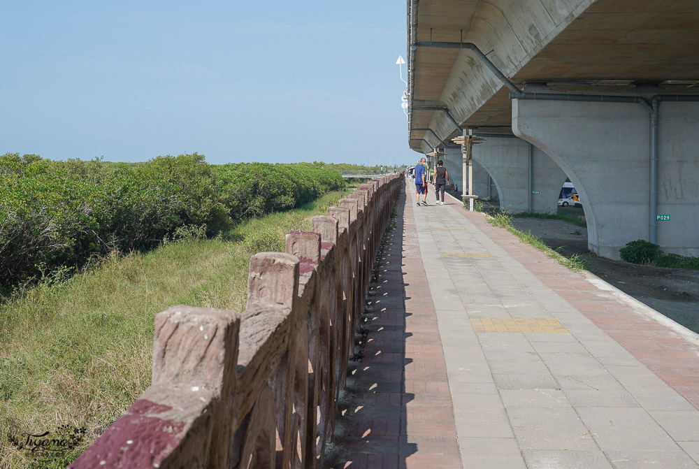 《海空步道》漫步紅樹林步道，漲潮出海道路宛如神隱少女海中電車月台/彰化免費景點 @緹雅瑪 美食旅遊趣