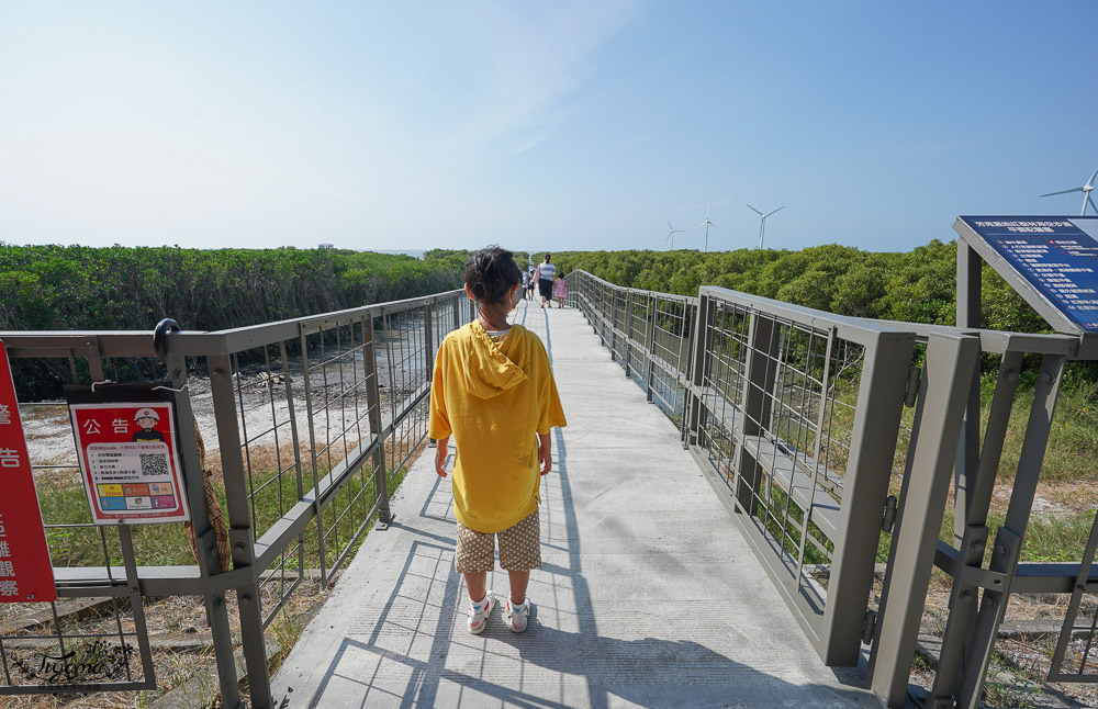 《海空步道》漫步紅樹林步道，漲潮出海道路宛如神隱少女海中電車月台/彰化免費景點 @緹雅瑪 美食旅遊趣