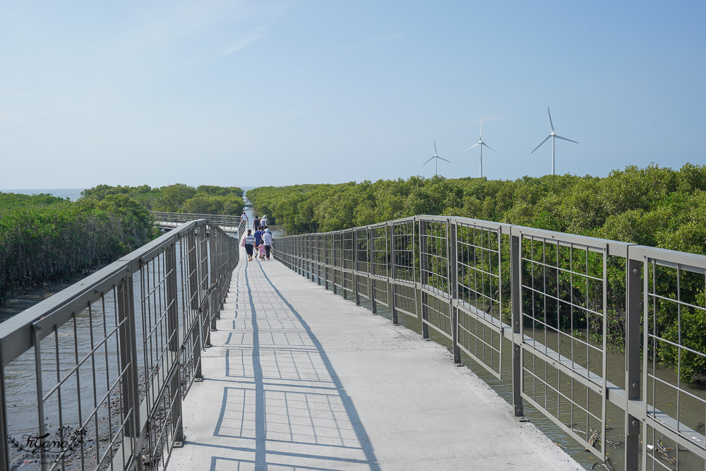 《海空步道》漫步紅樹林步道，漲潮出海道路宛如神隱少女海中電車月台/彰化免費景點 @緹雅瑪 美食旅遊趣