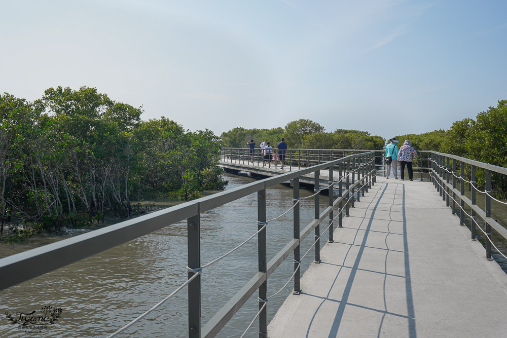 《海空步道》漫步紅樹林步道，漲潮出海道路宛如神隱少女海中電車月台/彰化免費景點 @緹雅瑪 美食旅遊趣