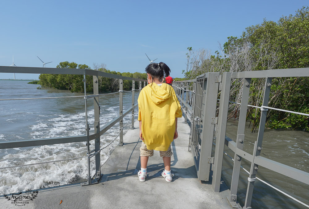 《海空步道》漫步紅樹林步道，漲潮出海道路宛如神隱少女海中電車月台/彰化免費景點 @緹雅瑪 美食旅遊趣