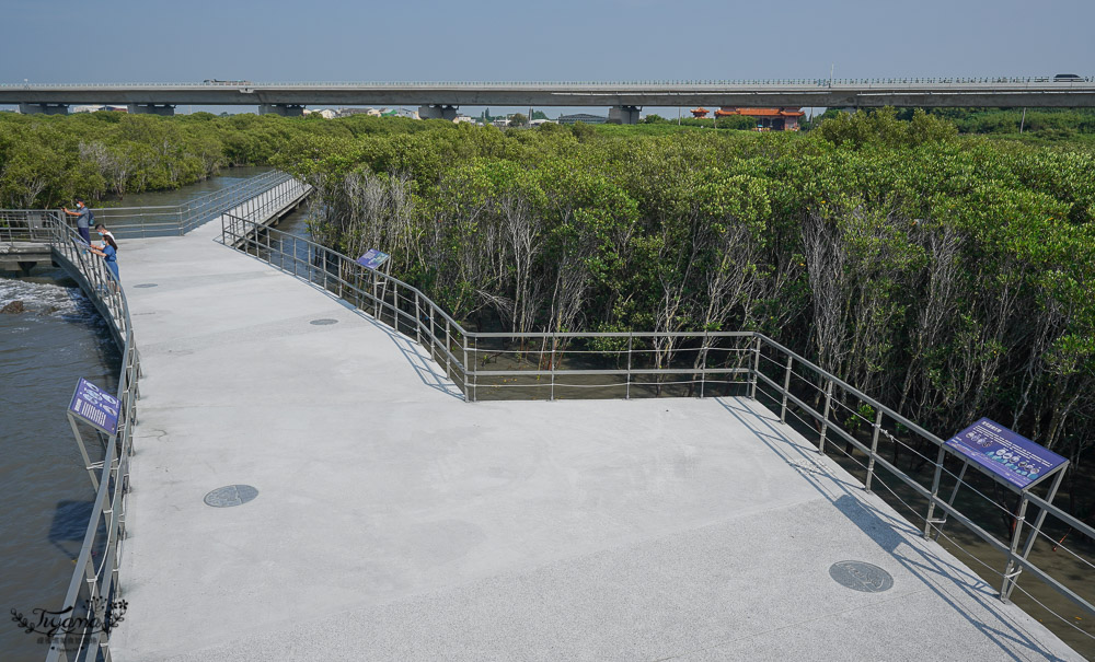 《海空步道》漫步紅樹林步道，漲潮出海道路宛如神隱少女海中電車月台/彰化免費景點 @緹雅瑪 美食旅遊趣