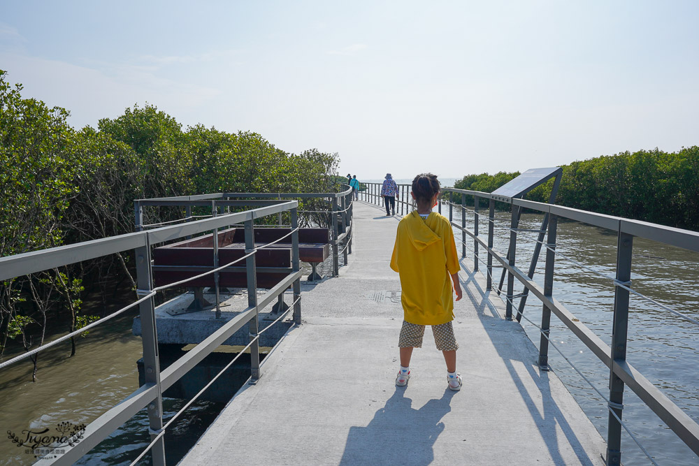 《海空步道》漫步紅樹林步道，漲潮出海道路宛如神隱少女海中電車月台/彰化免費景點 @緹雅瑪 美食旅遊趣