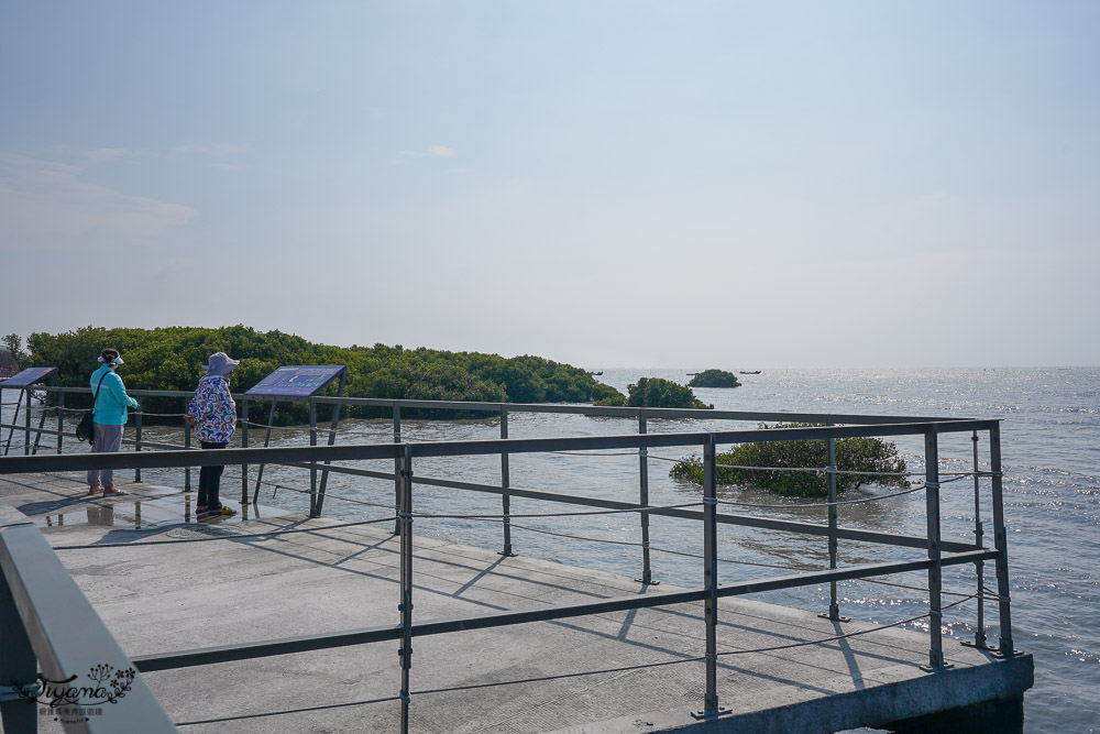 《海空步道》漫步紅樹林步道，漲潮出海道路宛如神隱少女海中電車月台/彰化免費景點 @緹雅瑪 美食旅遊趣