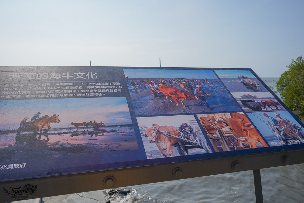 《海空步道》漫步紅樹林步道，漲潮出海道路宛如神隱少女海中電車月台/彰化免費景點 @緹雅瑪 美食旅遊趣