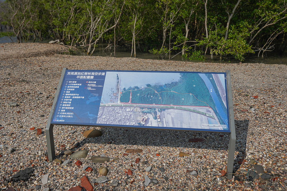 《海空步道》漫步紅樹林步道，漲潮出海道路宛如神隱少女海中電車月台/彰化免費景點 @緹雅瑪 美食旅遊趣