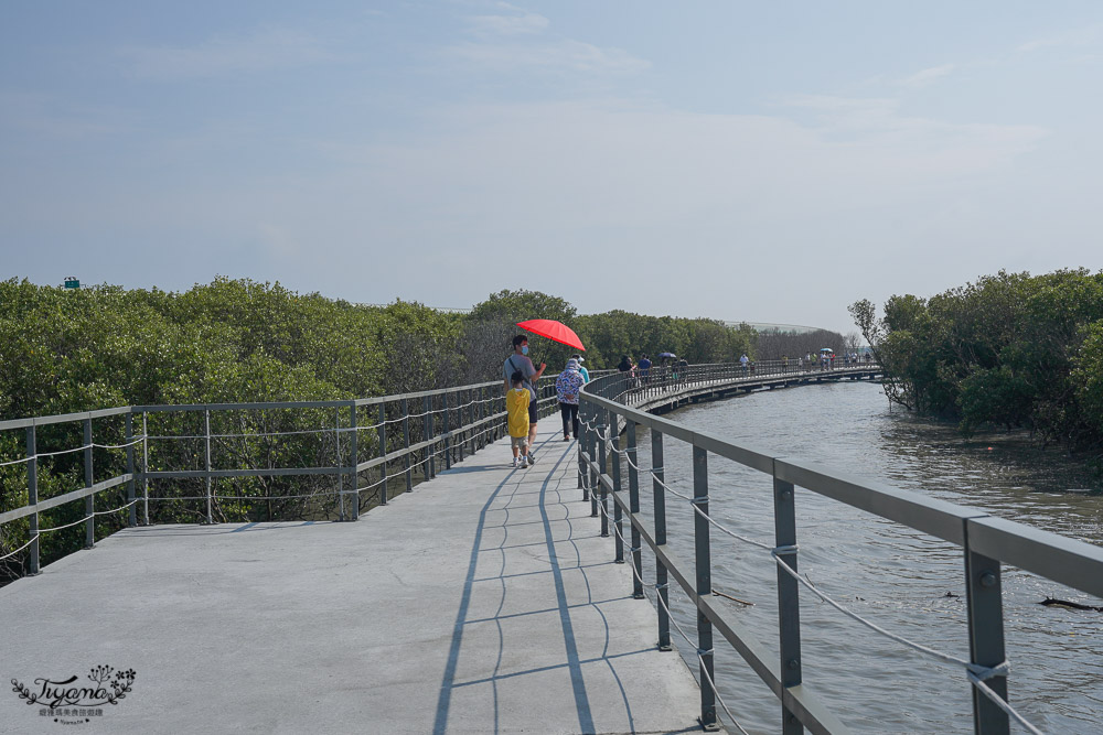 《海空步道》漫步紅樹林步道，漲潮出海道路宛如神隱少女海中電車月台/彰化免費景點 @緹雅瑪 美食旅遊趣