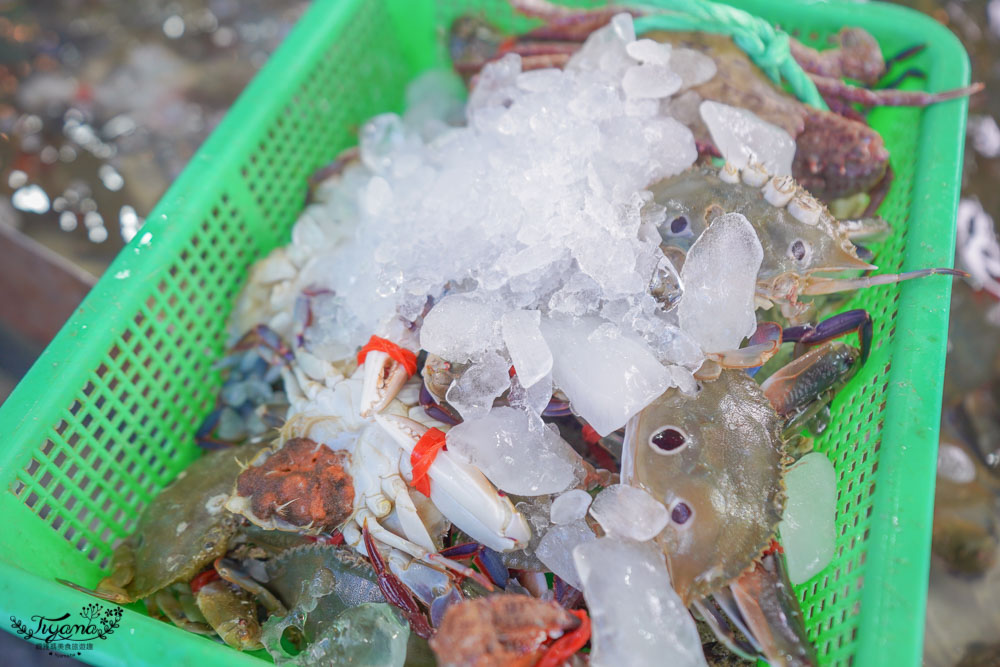 高雄漁港美食｜興達港觀光漁市：買海鮮螃蟹小卷、魚丸炸海鮮、生魚片，生食熟食一次買齊 @緹雅瑪 美食旅遊趣