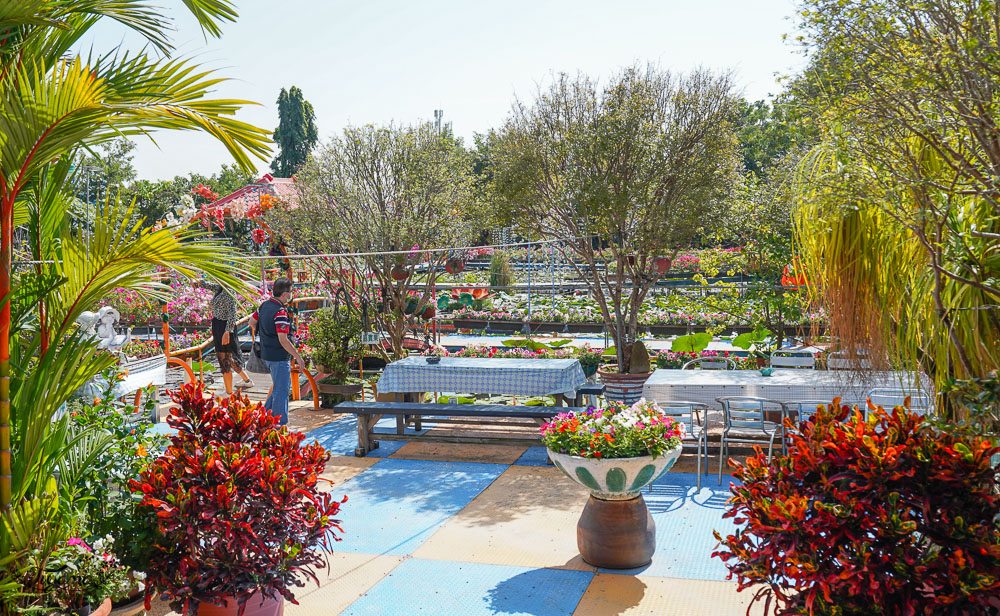 台南六甲景點《九品蓮花生態教育園區》賞蓮花，最多蓮花品種生態園，品蓮花料理、伴手禮 @緹雅瑪 美食旅遊趣