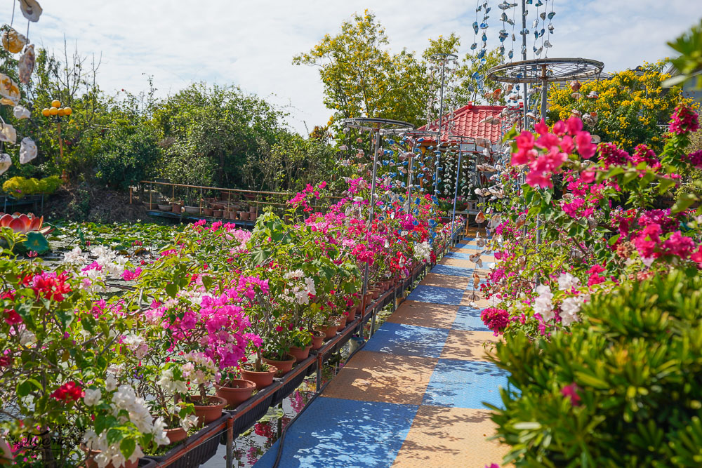 台南六甲景點《九品蓮花生態教育園區》賞蓮花，最多蓮花品種生態園，品蓮花料理、伴手禮 @緹雅瑪 美食旅遊趣