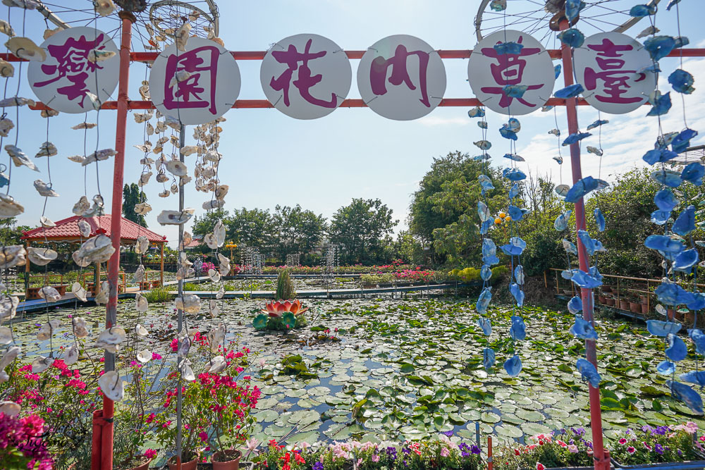 台南六甲景點《九品蓮花生態教育園區》賞蓮花，最多蓮花品種生態園，品蓮花料理、伴手禮 @緹雅瑪 美食旅遊趣