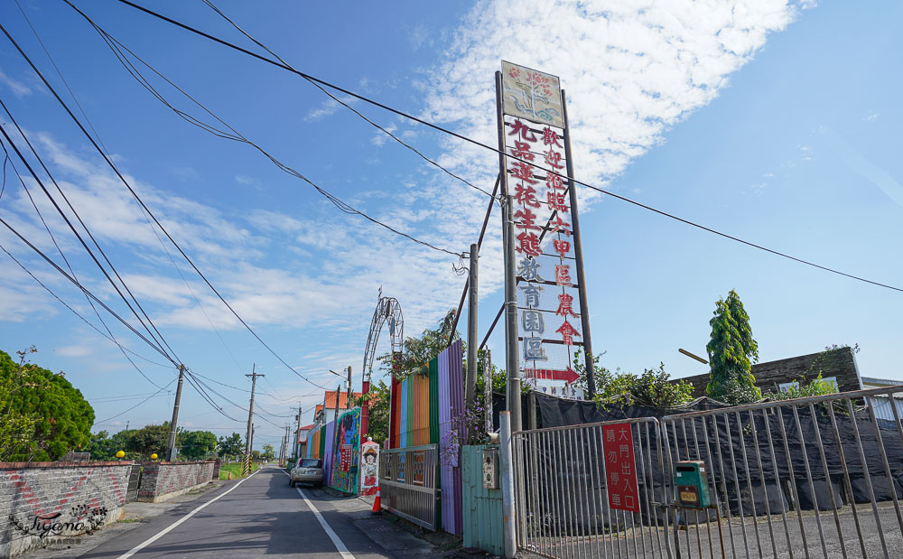 台南六甲景點《九品蓮花生態教育園區》賞蓮花，最多蓮花品種生態園，品蓮花料理、伴手禮 @緹雅瑪 美食旅遊趣