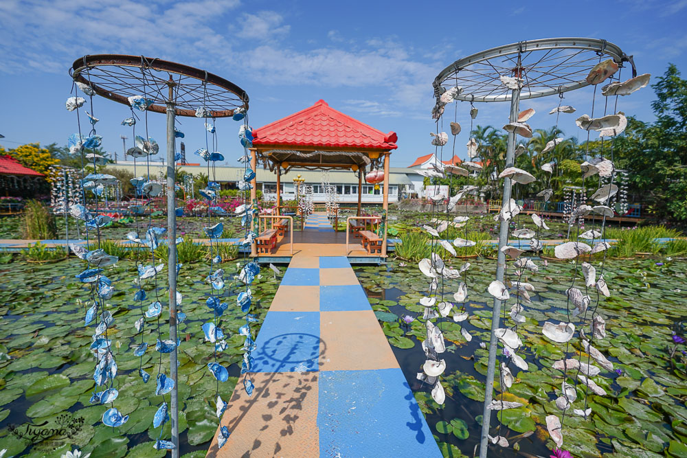 台南六甲景點《九品蓮花生態教育園區》賞蓮花，最多蓮花品種生態園，品蓮花料理、伴手禮 @緹雅瑪 美食旅遊趣