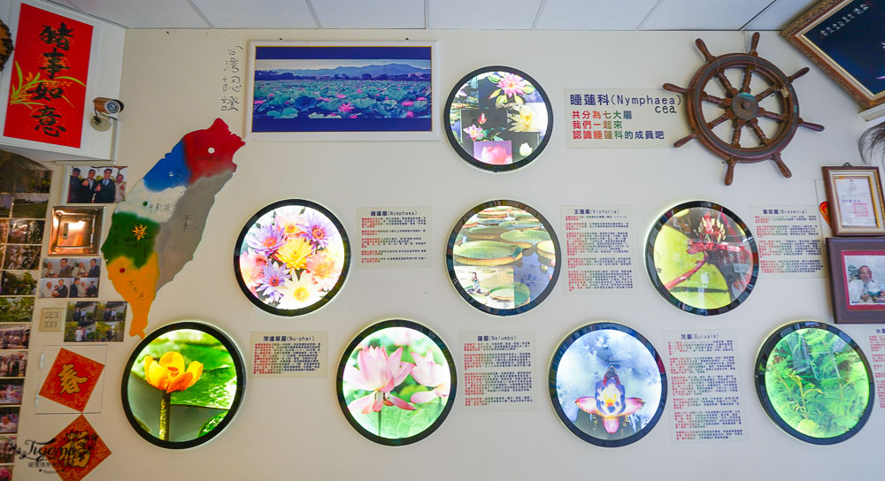 台南六甲景點《九品蓮花生態教育園區》賞蓮花，最多蓮花品種生態園，品蓮花料理、伴手禮 @緹雅瑪 美食旅遊趣