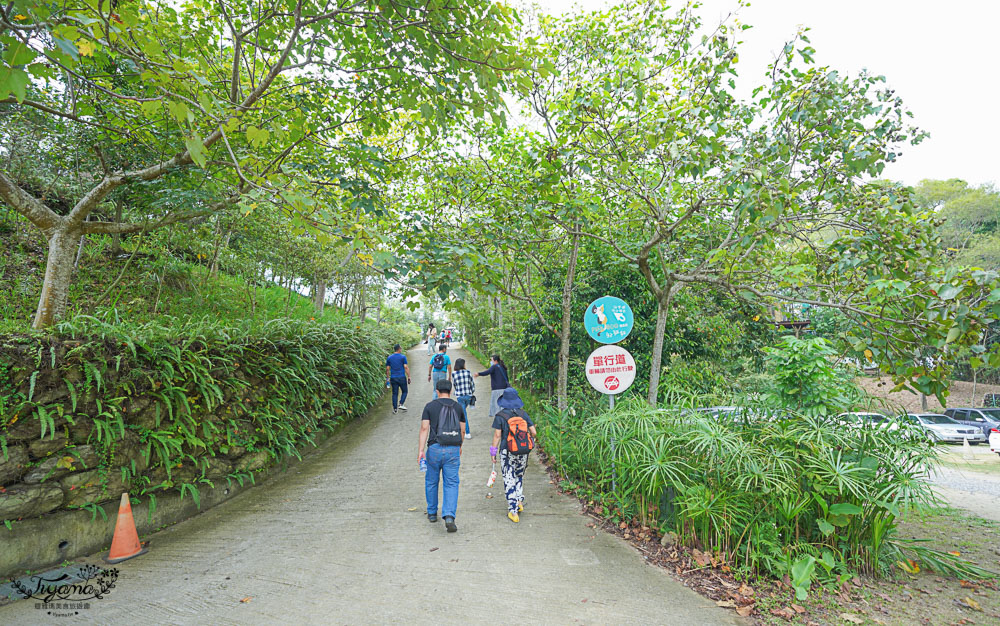 苗栗景點《天空之城》天堂古堡、鳥VS人、貓碉堡教堂，人氣夢幻景觀餐廳 @緹雅瑪 美食旅遊趣