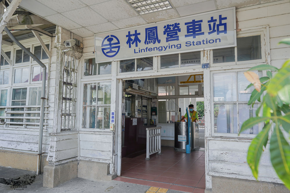 台南六甲一日遊《六甲幸福來稻》六甲落羽松森林、林鳳營火車站/故事館、九品蓮花園、媽祖廟剉冰、黑胡椒黑輪 @緹雅瑪 美食旅遊趣