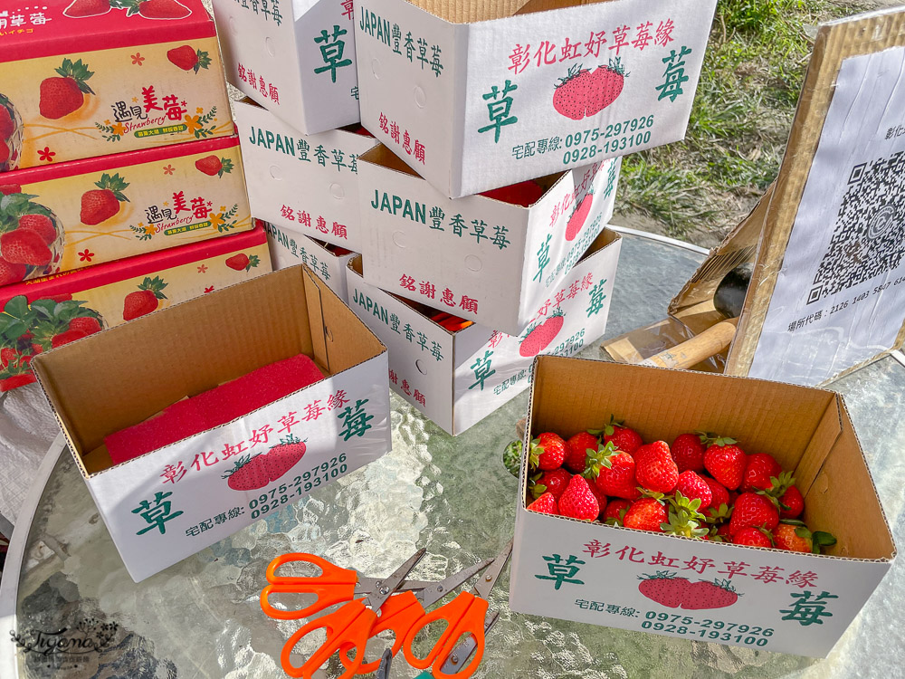 彰化草莓園《彰化虹妤草莓緣》日本豐香草莓，超濃郁草莓酸甜味 @緹雅瑪 美食旅遊趣