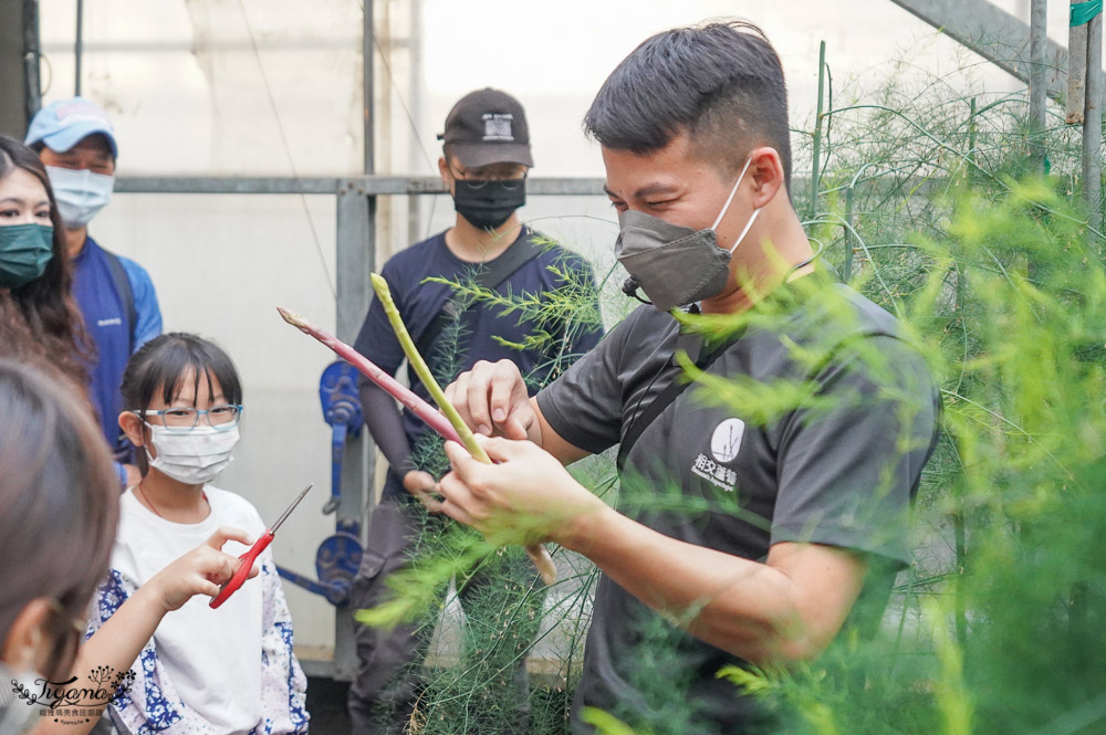 台南將軍採蘆筍，台南二日遊！《相交蘆筍|地利小食》蘆獲雙寶／蘆筍園採蘆筍、青山漁港拍賣競標、品蘆筍海鮮美食，超好玩！！ @緹雅瑪 美食旅遊趣