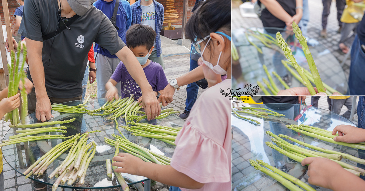 台南將軍採蘆筍，台南二日遊！《相交蘆筍|地利小食》蘆獲雙寶／蘆筍園採蘆筍、青山漁港拍賣競標、品蘆筍海鮮美食，超好玩！！ @緹雅瑪 美食旅遊趣