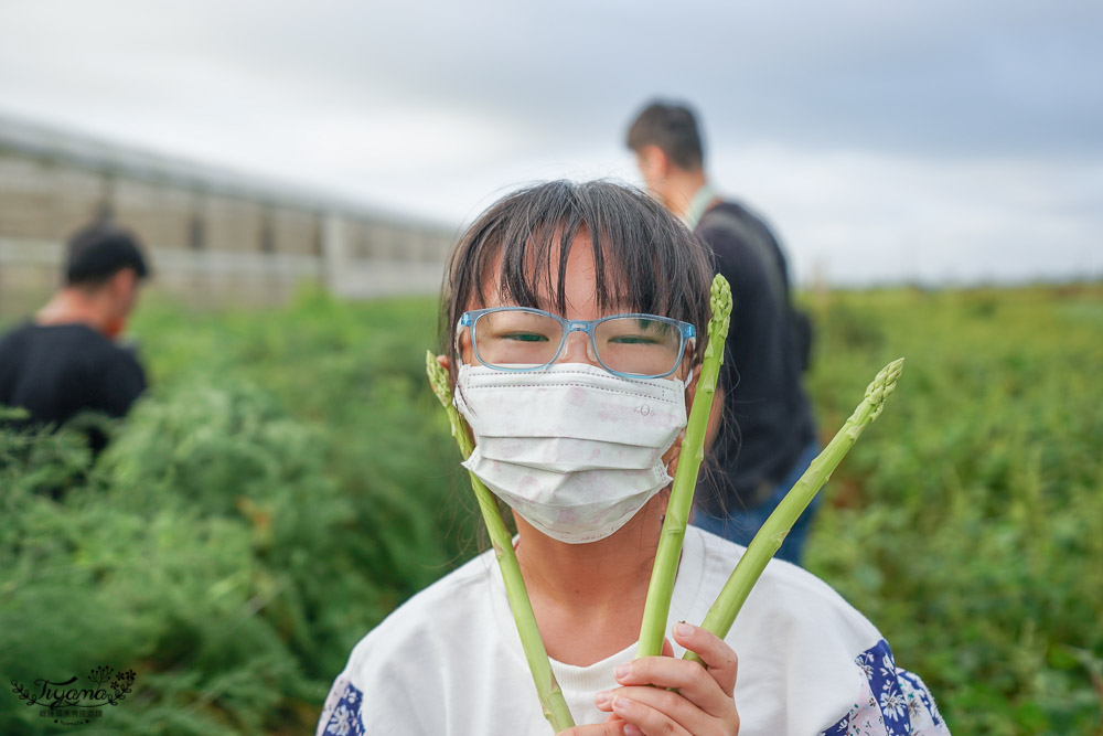 台南將軍採蘆筍，台南二日遊！《相交蘆筍|地利小食》蘆獲雙寶／蘆筍園採蘆筍、青山漁港拍賣競標、品蘆筍海鮮美食，超好玩！！ @緹雅瑪 美食旅遊趣