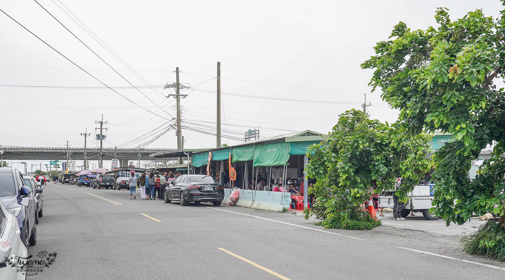 台南海產店《61線活海產｜61線蚵嗲》假日人潮大爆滿，一位難求的超平價海鮮！！ @緹雅瑪 美食旅遊趣