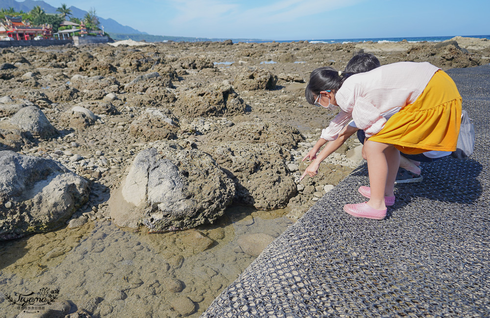 台東景點｜富山漁業資源保育區門票，親子賞魚玩水好去處，潮間帶生態觀察~ @緹雅瑪 美食旅遊趣