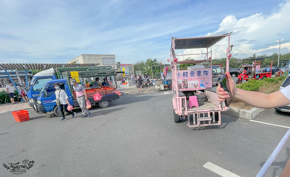 200元王功三輪採蚵車挖蛤烤鮮蚵吃到飽！！王功採蚵車小鯨魚車隊，玩樂2小時~小孩國小只要100元、幼兒園不收費！！ @緹雅瑪 美食旅遊趣