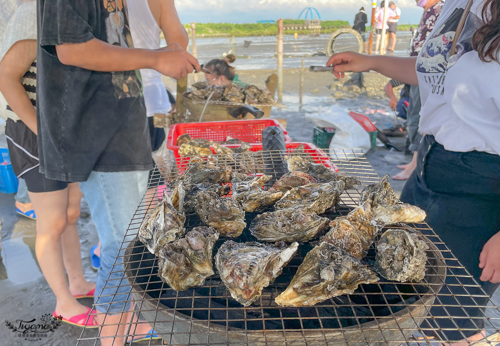 200元王功三輪採蚵車挖蛤烤鮮蚵吃到飽！！王功採蚵車小鯨魚車隊，玩樂2小時~小孩國小只要100元、幼兒園不收費！！ @緹雅瑪 美食旅遊趣