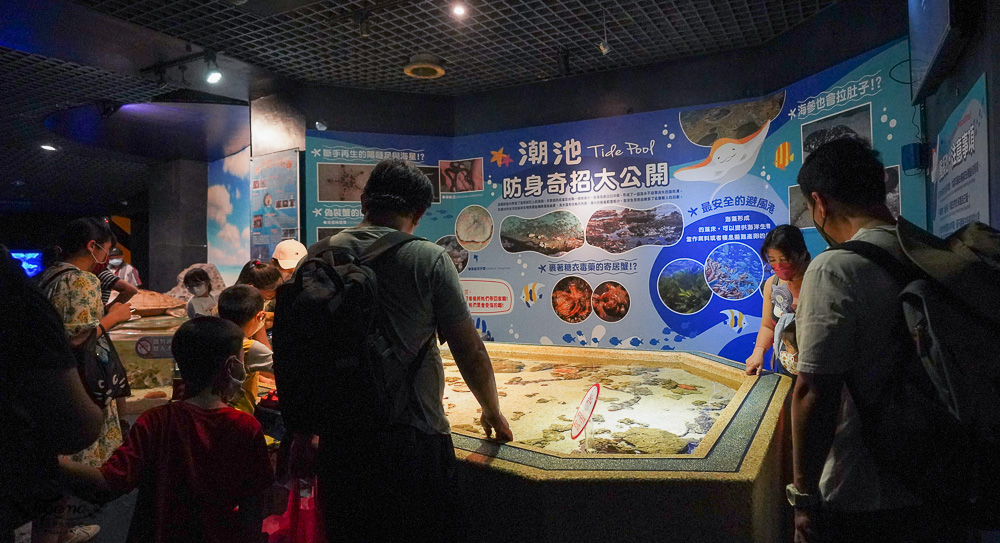 遠雄海洋公園好好玩！！花蓮景點/花蓮親子景點，美人魚秀、海豚海獅海牛秀、精彩海洋表演看不停！設施玩不停！ @緹雅瑪 美食旅遊趣