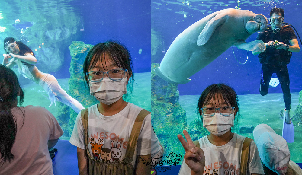 遠雄海洋公園好好玩！！花蓮景點/花蓮親子景點，美人魚秀、海豚海獅海牛秀、精彩海洋表演看不停！設施玩不停！ @緹雅瑪 美食旅遊趣