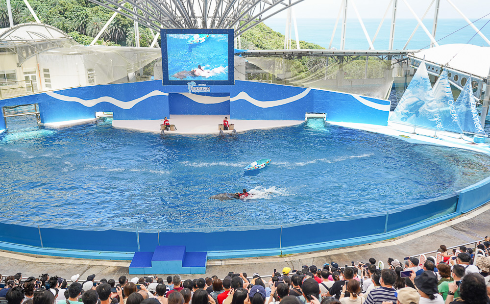 遠雄海洋公園好好玩！！花蓮景點/花蓮親子景點，美人魚秀、海豚海獅海牛秀、精彩海洋表演看不停！設施玩不停！ @緹雅瑪 美食旅遊趣