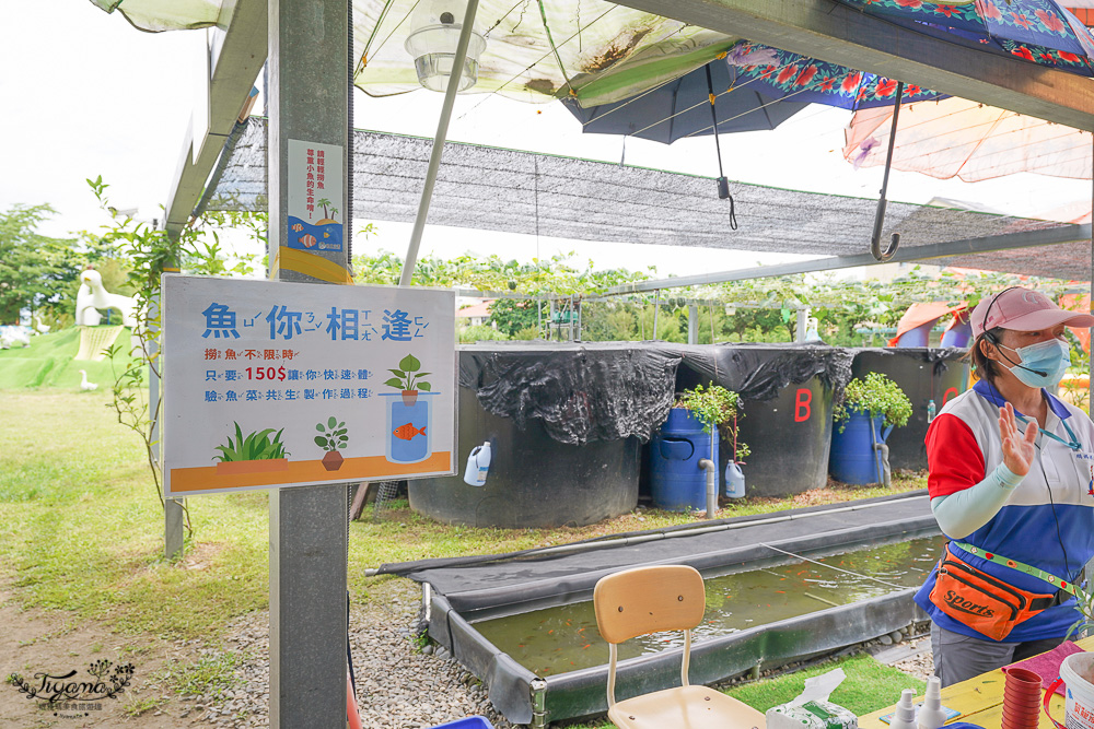 雲林親子景點｜鵝媽媽 鵝童樂園：免門票參觀，自由選設施自費，伴手禮店&#038;愛鵝樂親子餐廳 @緹雅瑪 美食旅遊趣