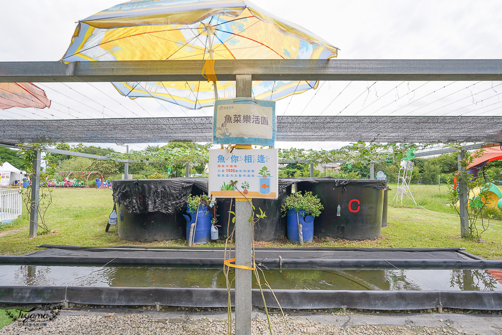 雲林親子景點｜鵝媽媽 鵝童樂園：免門票參觀，自由選設施自費，伴手禮店&#038;愛鵝樂親子餐廳 @緹雅瑪 美食旅遊趣