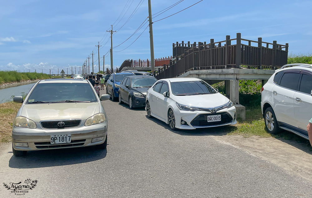 台南海鮮節|臺南七股海鮮節挖文蛤體驗(交通)，我們終於報名到來挖蛤蜊了~ @緹雅瑪 美食旅遊趣