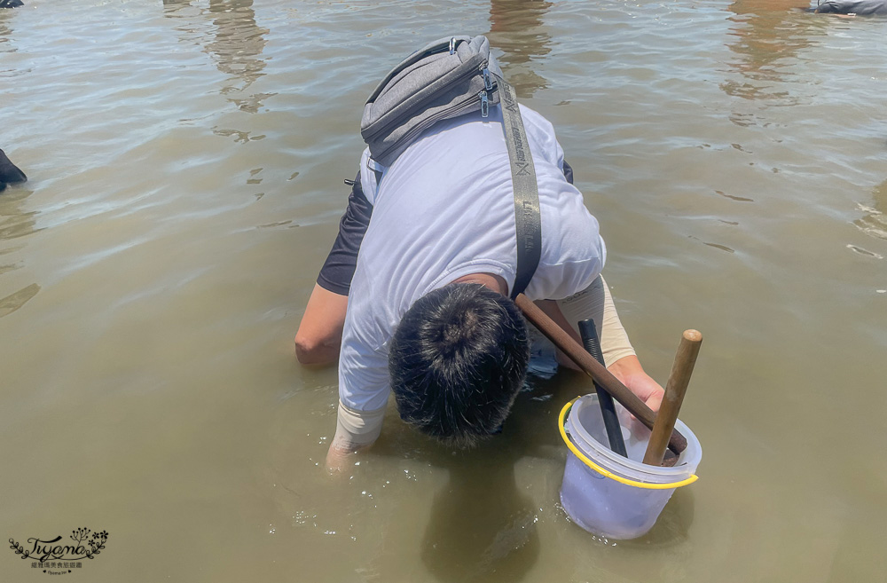 台南海鮮節|臺南七股海鮮節挖文蛤體驗(交通)，我們終於報名到來挖蛤蜊了~ @緹雅瑪 美食旅遊趣