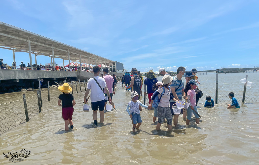 台南海鮮節|臺南七股海鮮節挖文蛤體驗(交通)，我們終於報名到來挖蛤蜊了~ @緹雅瑪 美食旅遊趣