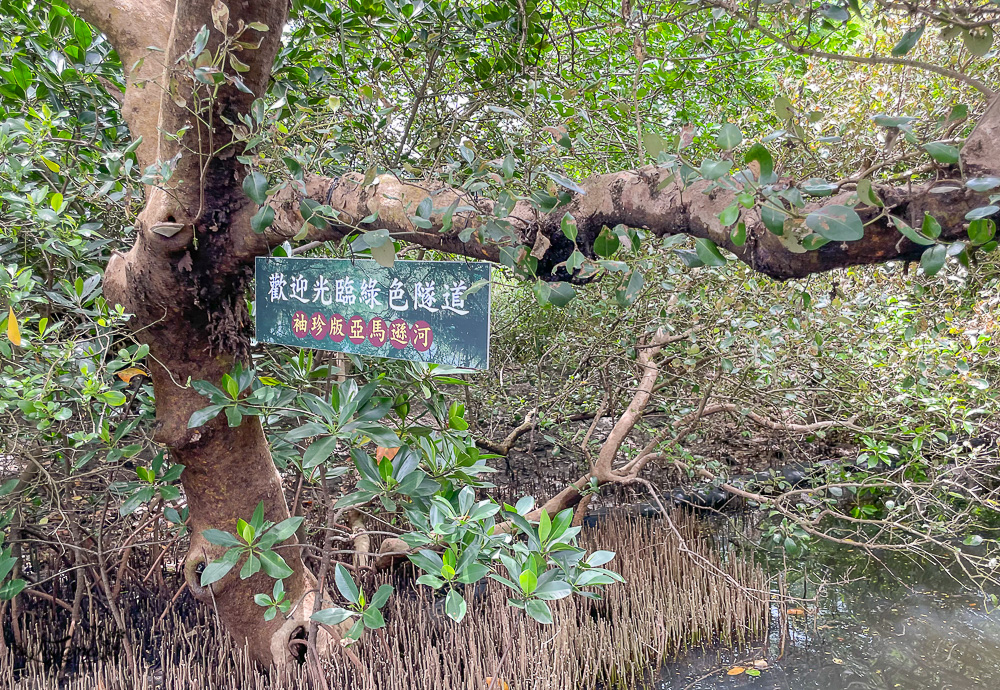 台版袖珍亞馬遜河！！台南景點 四草綠色隧道｜船票交通，觀光漁筏悠遊絕美秘景！！ @緹雅瑪 美食旅遊趣