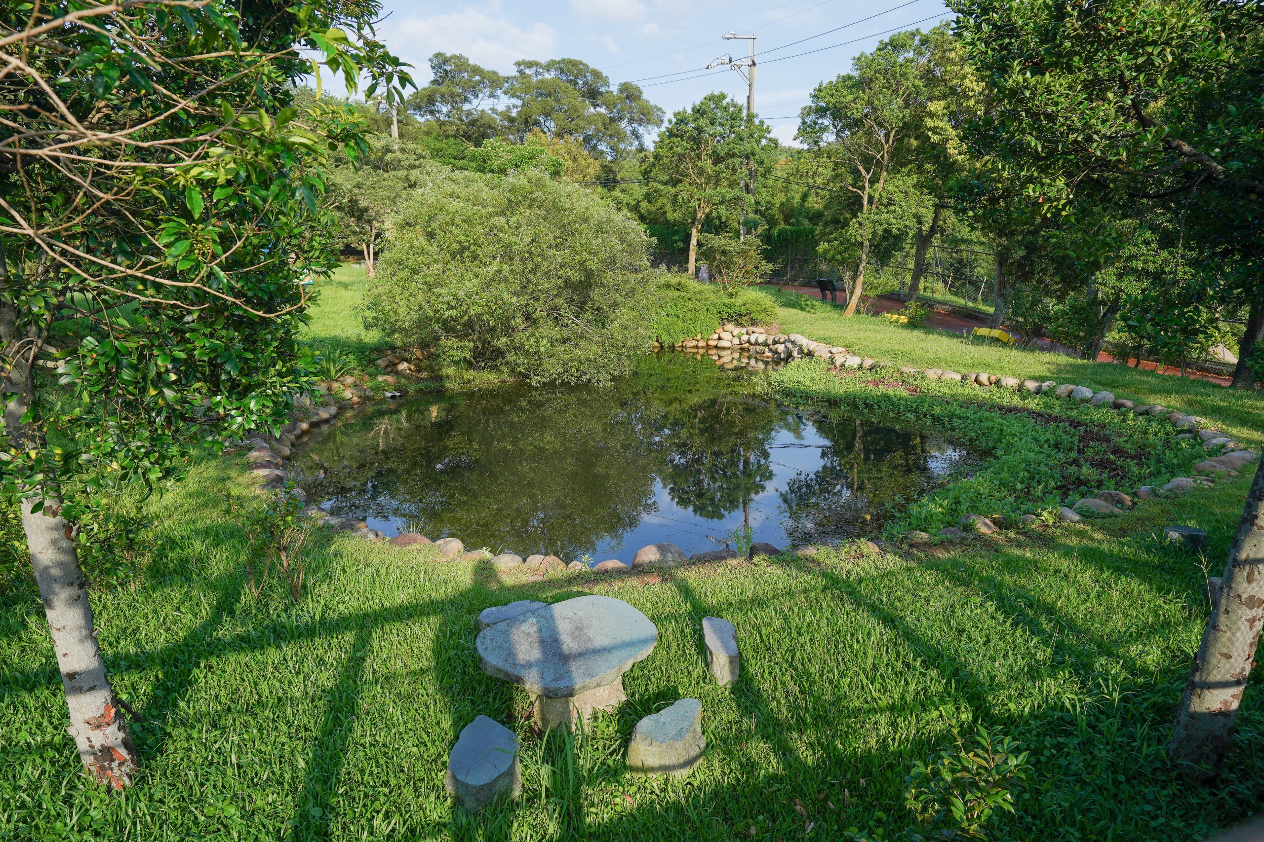 桃園景點《探索三水×農遊輕旅》水土保持互動主題樂園｜茶裏王涼亭｜奉茶亭步道採茶體驗｜夏夕夏景賞景喝咖啡 @緹雅瑪 美食旅遊趣