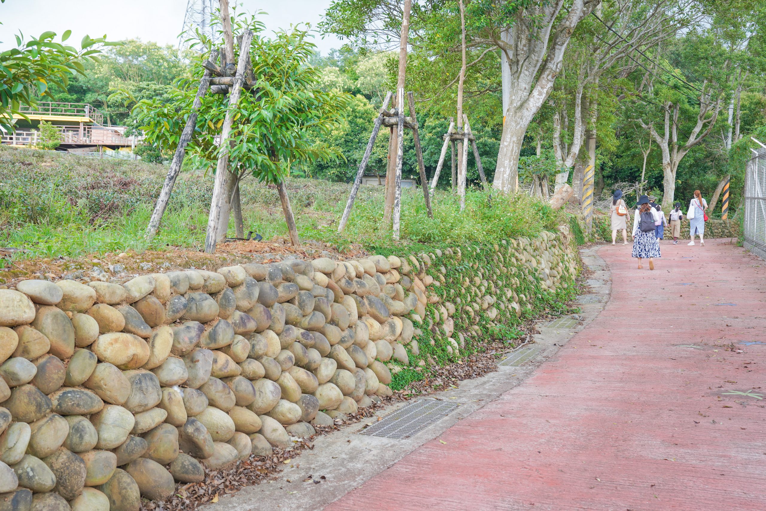 桃園景點《探索三水×農遊輕旅》水土保持互動主題樂園｜茶裏王涼亭｜奉茶亭步道採茶體驗｜夏夕夏景賞景喝咖啡 @緹雅瑪 美食旅遊趣