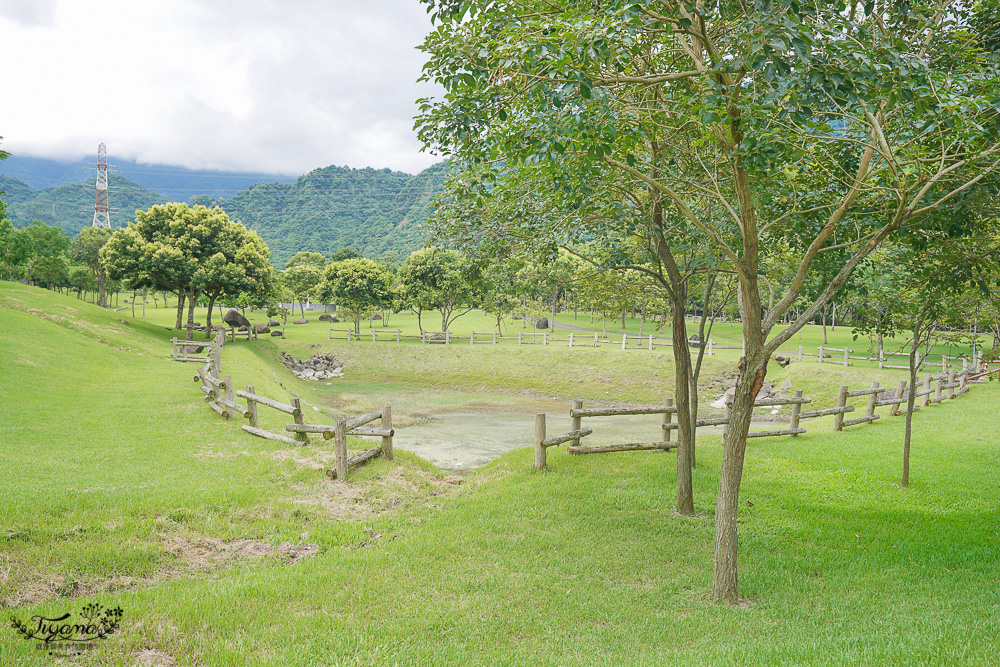 嘉義景點｜旺萊山愛情大草原，巨大台灣黑熊出沒！免費景點散步美拍好去處，整塊鳳梨酥請你吃~ @緹雅瑪 美食旅遊趣