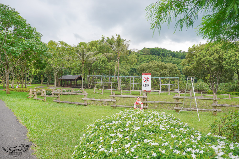 嘉義景點｜旺萊山愛情大草原，巨大台灣黑熊出沒！免費景點散步美拍好去處，整塊鳳梨酥請你吃~ @緹雅瑪 美食旅遊趣