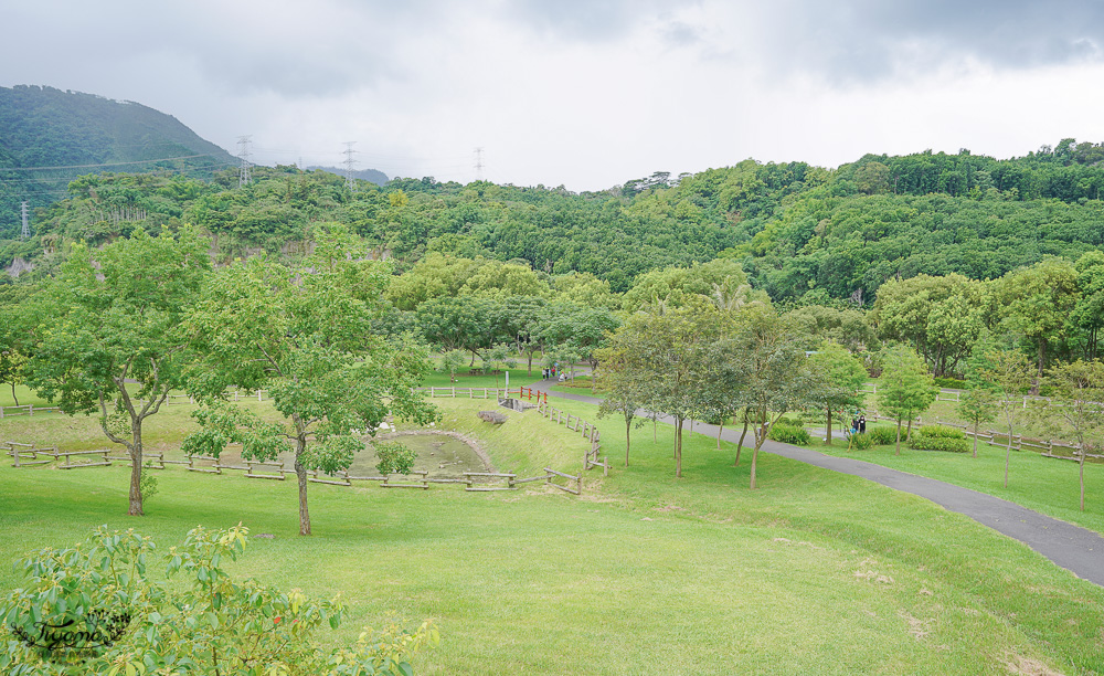 嘉義景點｜旺萊山愛情大草原，巨大台灣黑熊出沒！免費景點散步美拍好去處，整塊鳳梨酥請你吃~ @緹雅瑪 美食旅遊趣