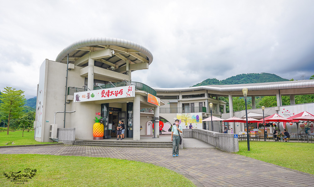 嘉義景點｜旺萊山愛情大草原，巨大台灣黑熊出沒！免費景點散步美拍好去處，整塊鳳梨酥請你吃~ @緹雅瑪 美食旅遊趣