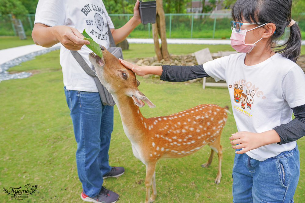 嘉義餵鹿景點｜逐鹿傳說梅花鹿園，大又美的梅花鹿園~親子同樂餵起來！！ @緹雅瑪 美食旅遊趣