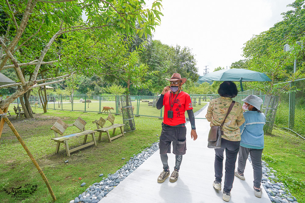 嘉義餵鹿景點｜逐鹿傳說梅花鹿園，大又美的梅花鹿園~親子同樂餵起來！！ @緹雅瑪 美食旅遊趣