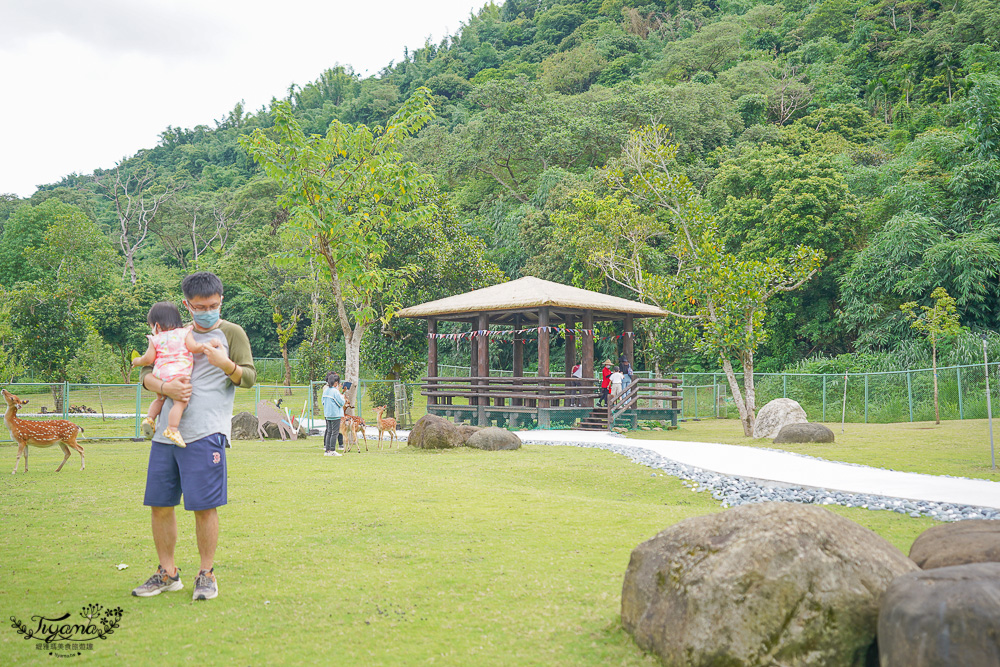 嘉義餵鹿景點｜逐鹿傳說梅花鹿園，大又美的梅花鹿園~親子同樂餵起來！！ @緹雅瑪 美食旅遊趣